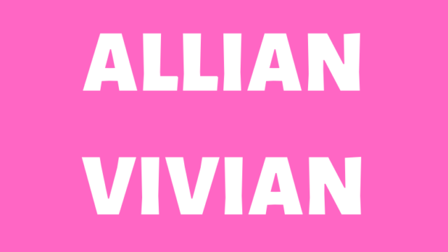 【ALLIAN】ヴィヴィアンはオールラウンド向け！ビギナーでも操作性が良くコスパも良いモデル！