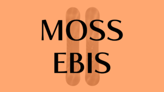 【MOSS】EBISの評判は?特徴・乗り心地・フリースタイル適性をレビュー