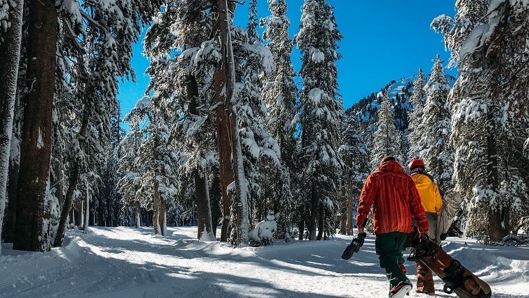 スノーボード形状