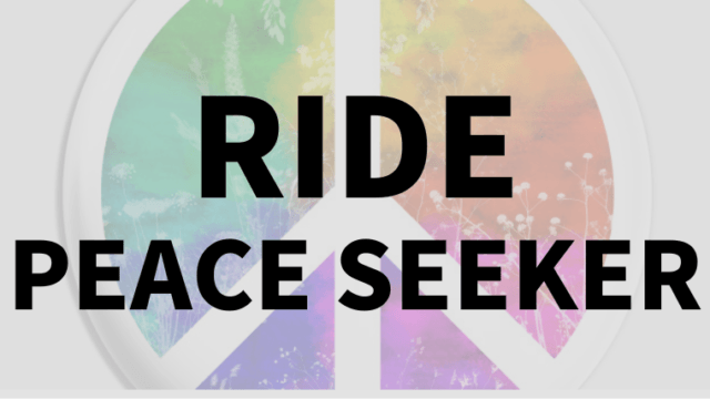 【RIDE】PEACE SEEKERの評価はオールマウンテンなモデル！特にパウダー性能が高いけどパークも流せる！