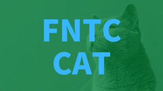 FNTCのCATのレビュー