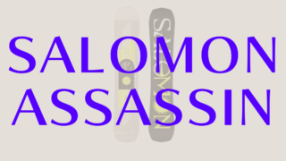 【SALOMON】ASSASSINの評価はオールマウンテン性があるモデル！PROはよりハイスペックな板！