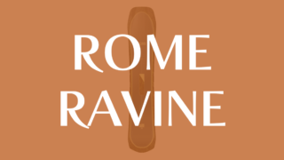 【ROME】RAVINEの評価とおすすめ理由！多機能ボードの魅力を徹底解説