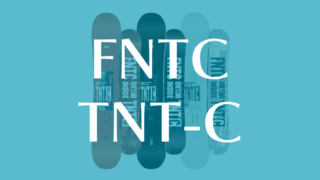 【FNTC】TNT-Cの評価と実力を徹底解説!初心者・中級者も納得の理由