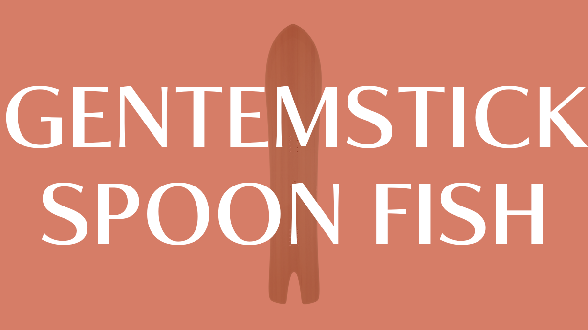 【GENTEMSTICK】SPOON FISHの評価は？唯一無二の乗り心地を徹底解説