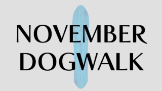 【NOVEMBER】DOGWALKの評価！パウダーもグラトリも遊べるスペックと特徴